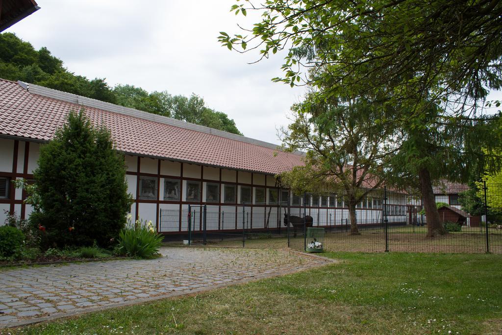 Gut Dankerode Apartment Dankerode  Exterior photo